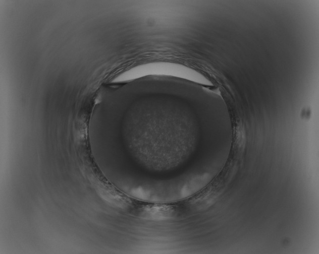 X0000110700517200906261411