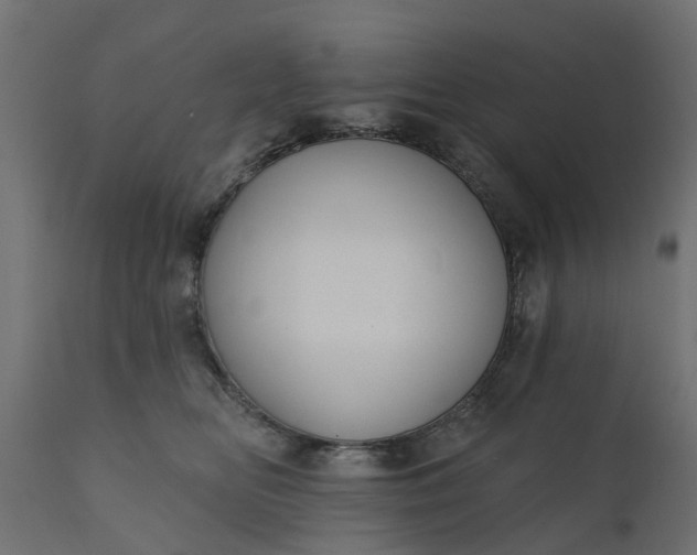 X0000110700518200906261411