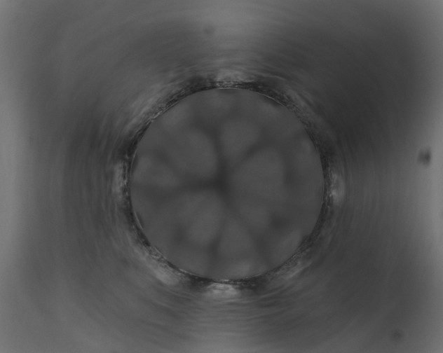 X0000110700519200906261411