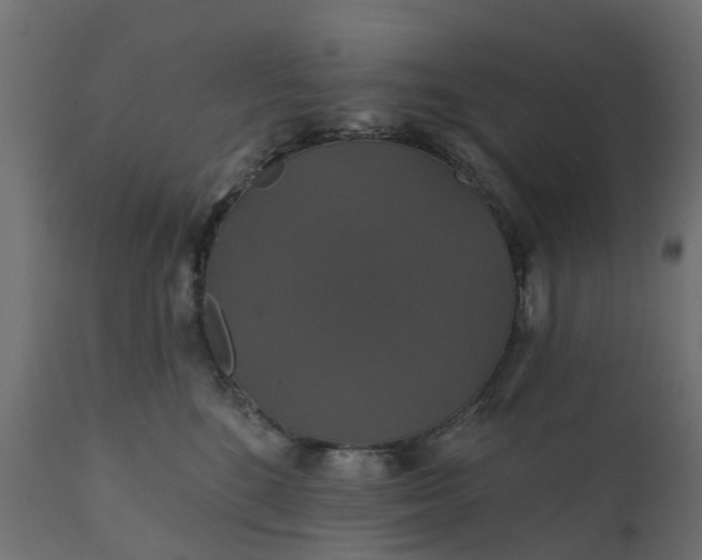 X0000110700520200906261411