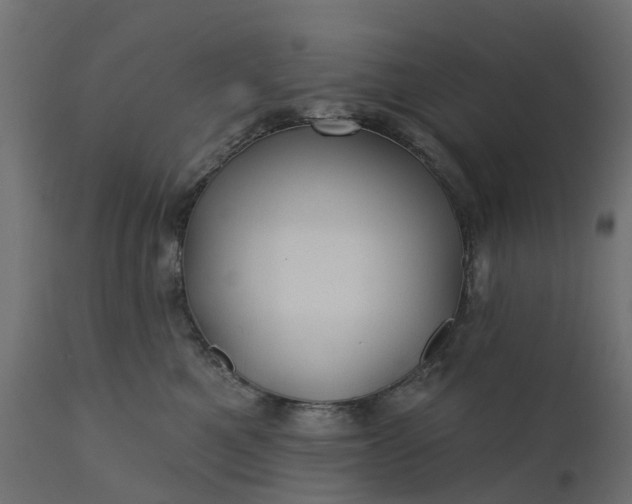 X0000110700521200906261411