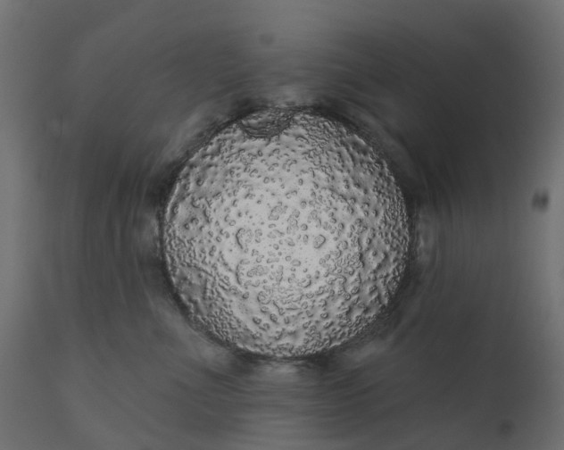 X0000110700523200906261411