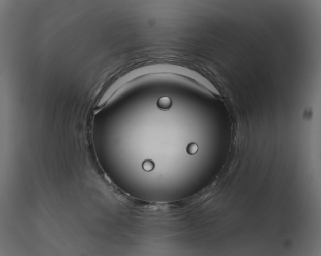 X0000110700524200906261411