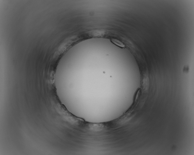 X0000110700525200906261411