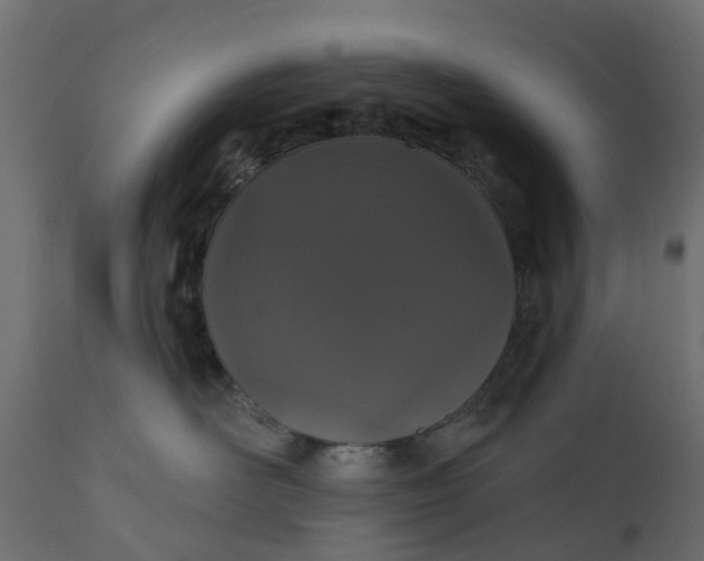 X0000110700526200906261411