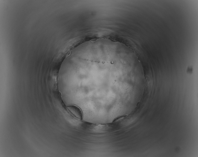 X0000110700527200906261411