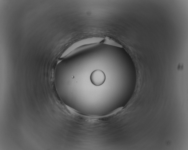 X0000110700528200906261411