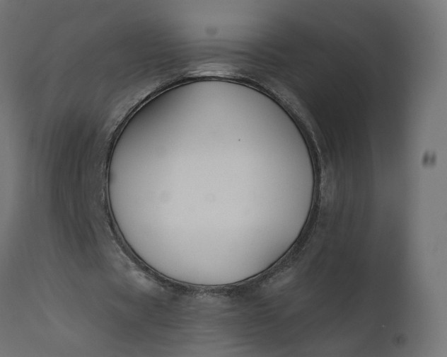 X0000110700529200906261410