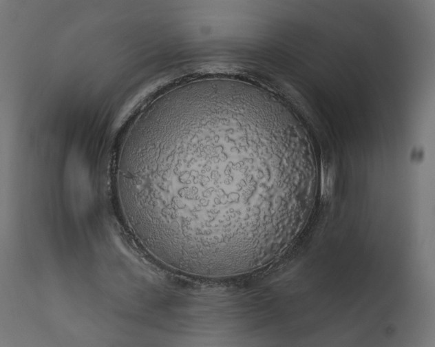 X0000110700531200906261410