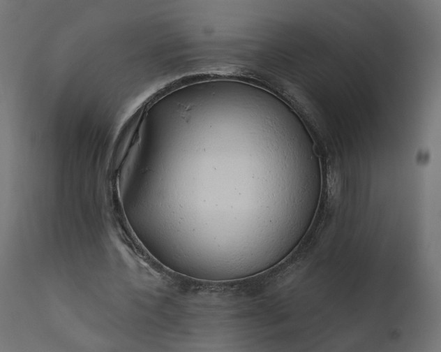 X0000110700532200906261410