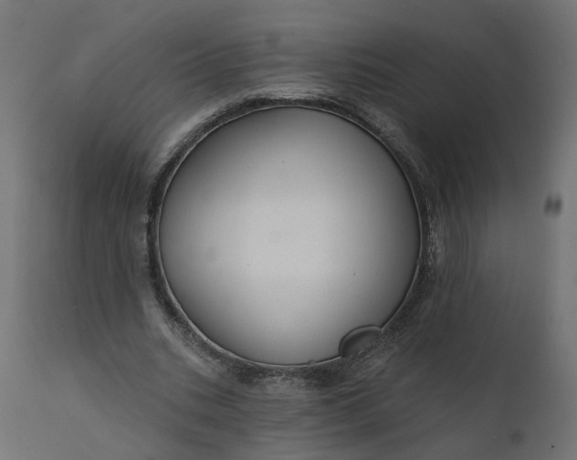 X0000110700535200906261410