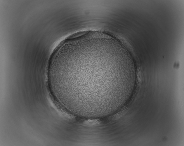 X0000110700536200906261410