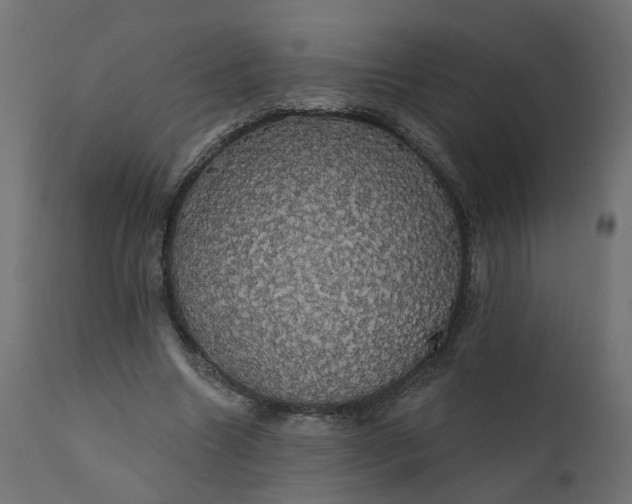 X0000110700538200906261410