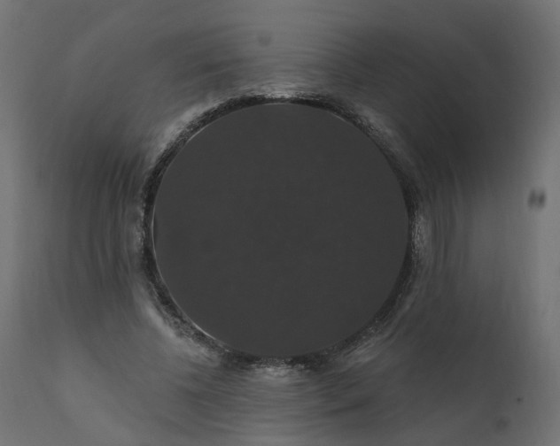 X0000110700540200906261410