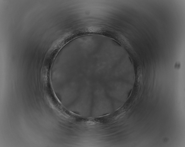 X0000110700542200906261410