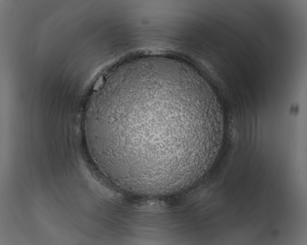 X0000110700543200906261410