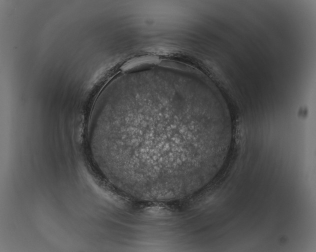 X0000110700544200906261410