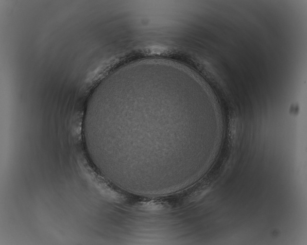 X0000110700545200906261410