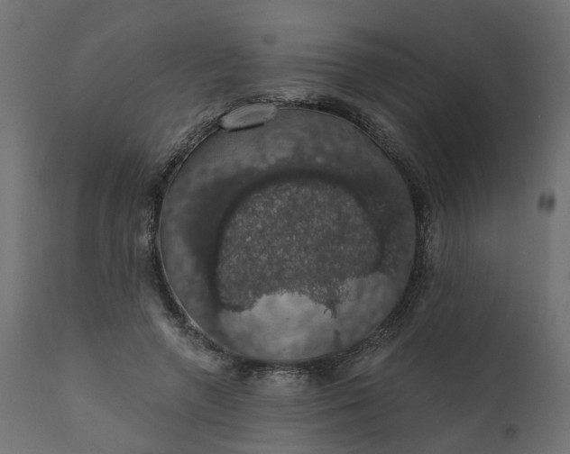 X0000110700546200906261410