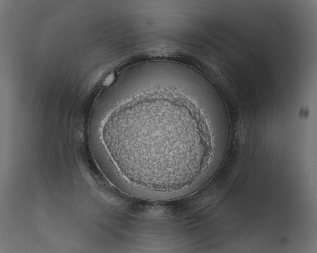 X0000110700547200906261410