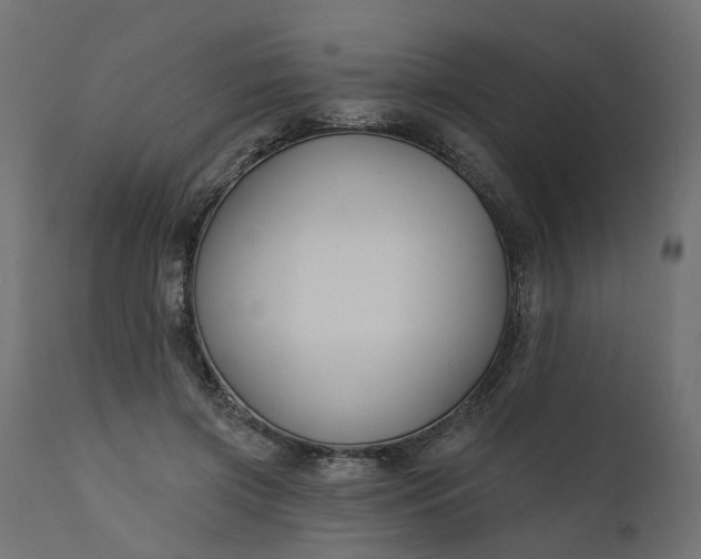 X0000110700549200906261410