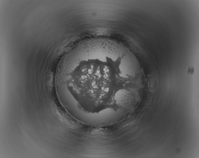 X0000110700550200906261410