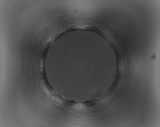 X0000110700551200906261410