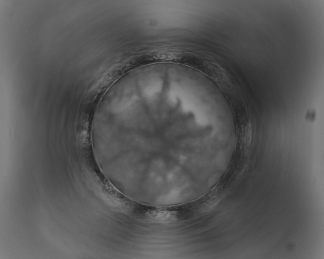 X0000110700553200906261410