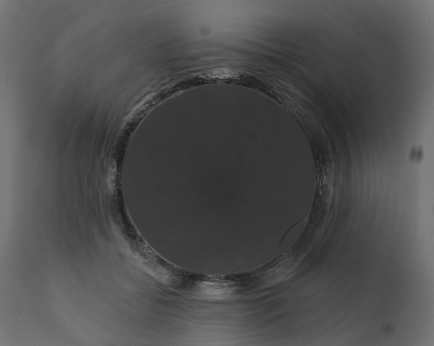 X0000110700556200906261410