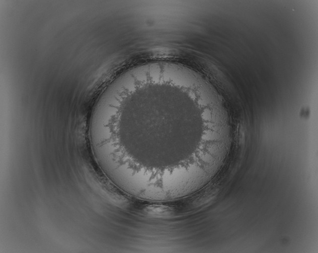 X0000110700557200906261410