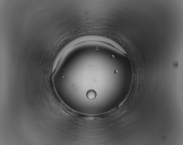 X0000110700558200906261410