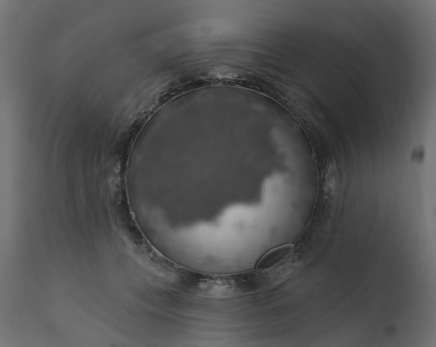 X0000110700559200906261410