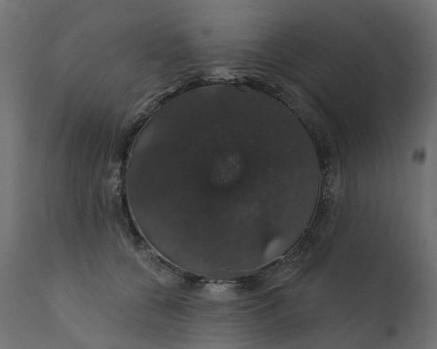 X0000110700560200906261410