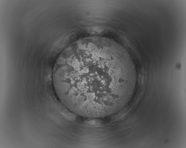 X0000110700561200906261410