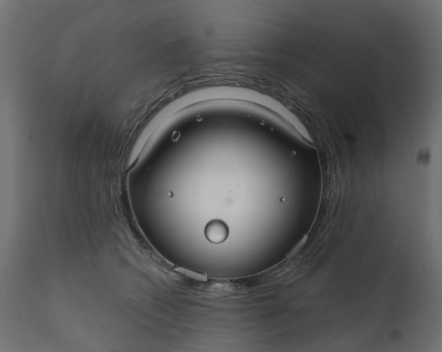 X0000110700562200906261410