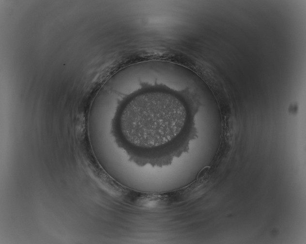 X0000110700563200906261410