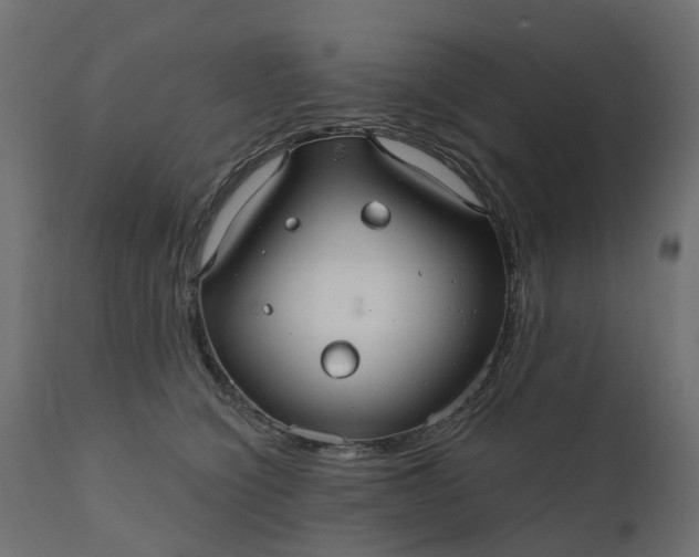 X0000110700564200906261410