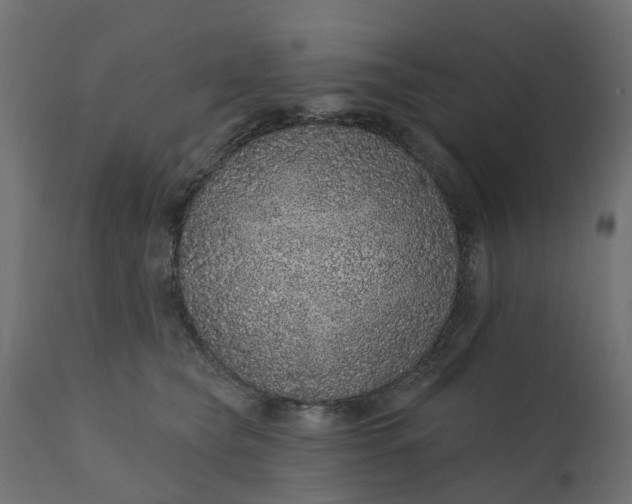 X0000110700565200906261410