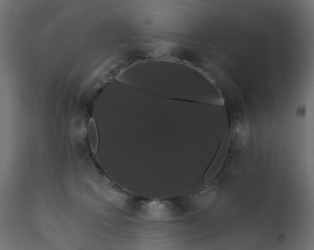 X0000110700566200906261410