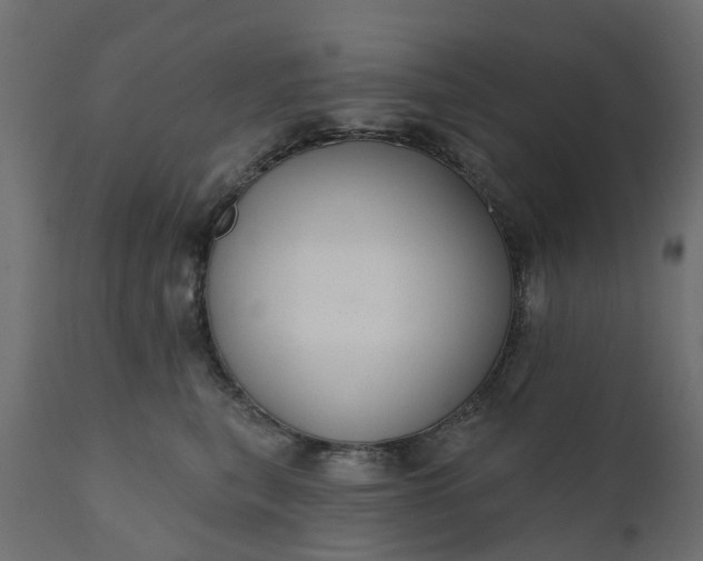 X0000110700567200906261410