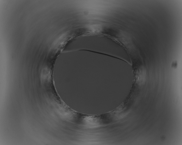 X0000110700568200906261411