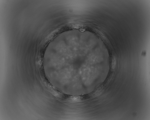 X0000110700569200906261411