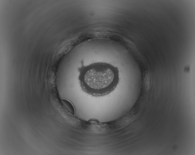 X0000110700571200906261411