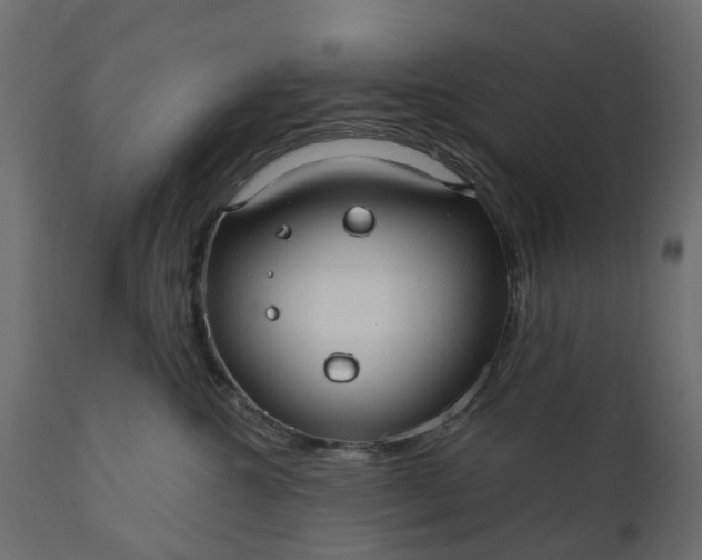 X0000110700572200906261411