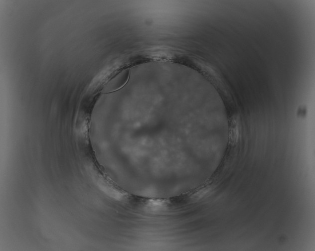 X0000110700573200906261411