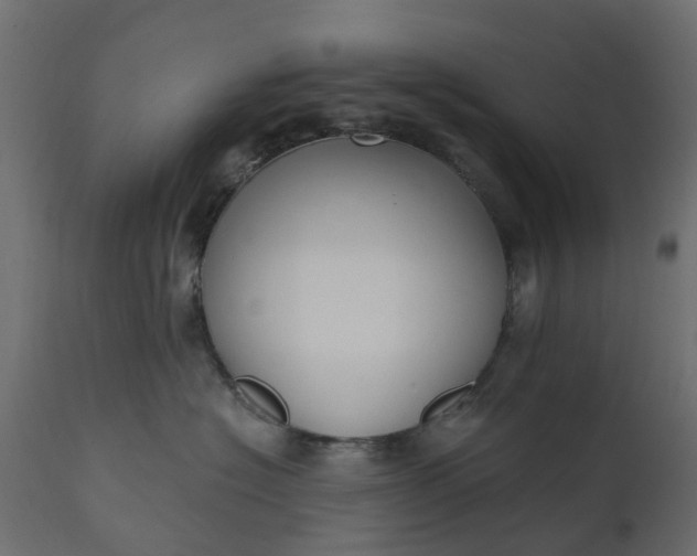 X0000110700574200906261411