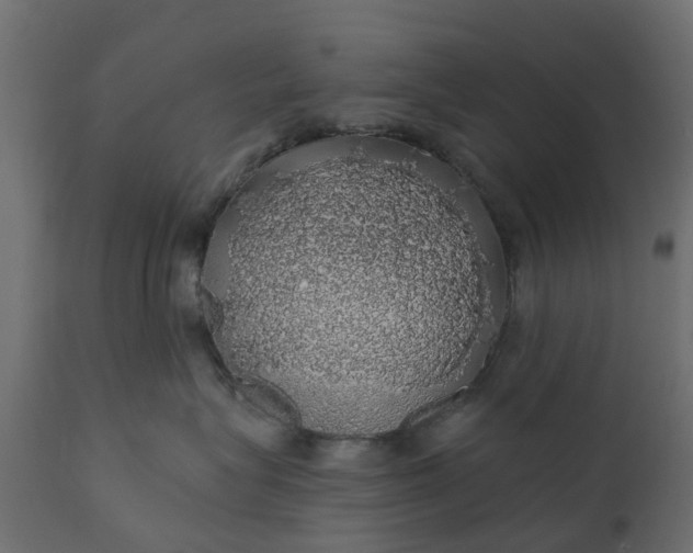 X0000110700575200906261411