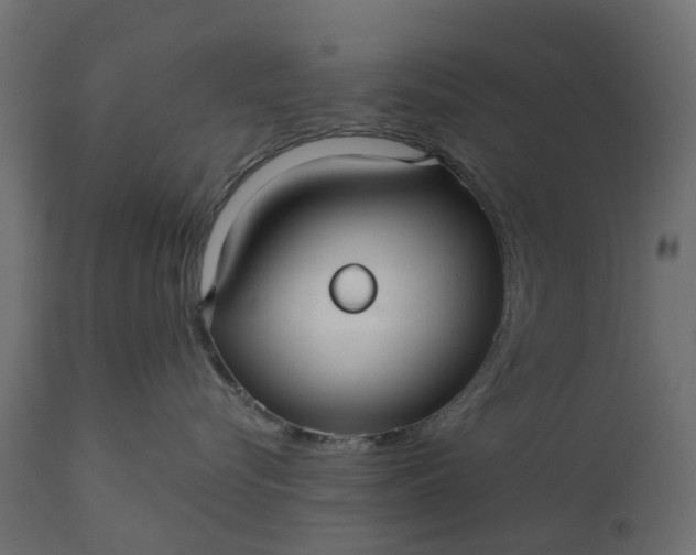 X0000110700576200906261411