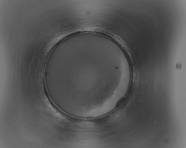 X0000110700577200906261410