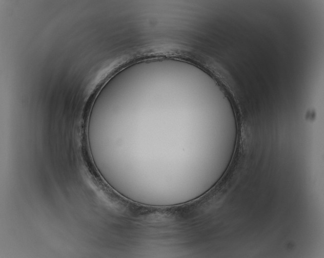 X0000110700578200906261410